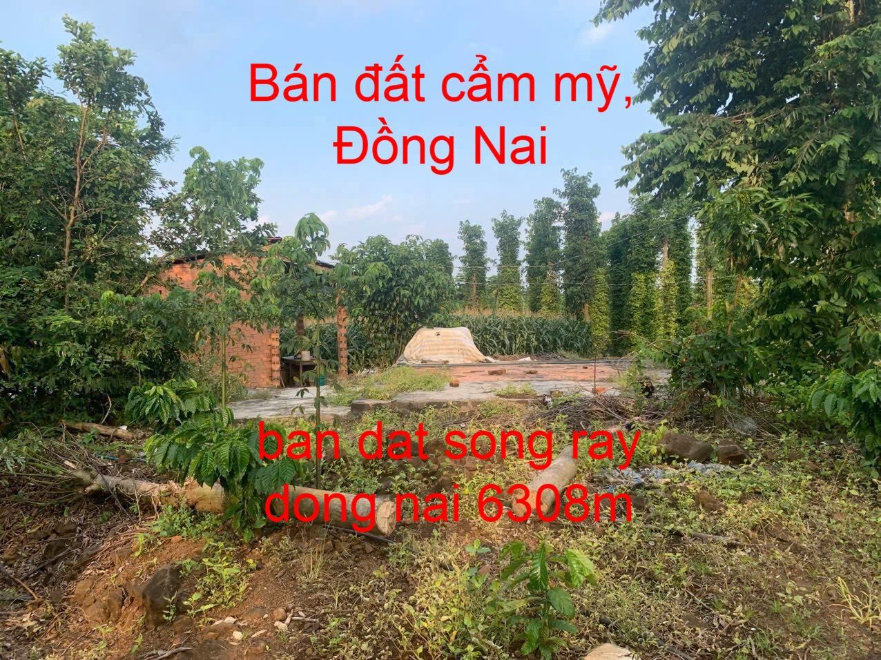 ban 6308m dat xa song ray dong nai