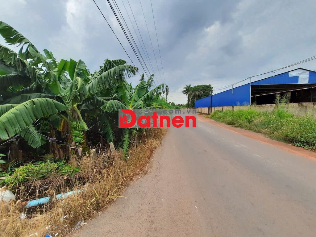 Đất cây lâu năm 15.000m2 đường tỉnh 762, huyện Trảng Bom