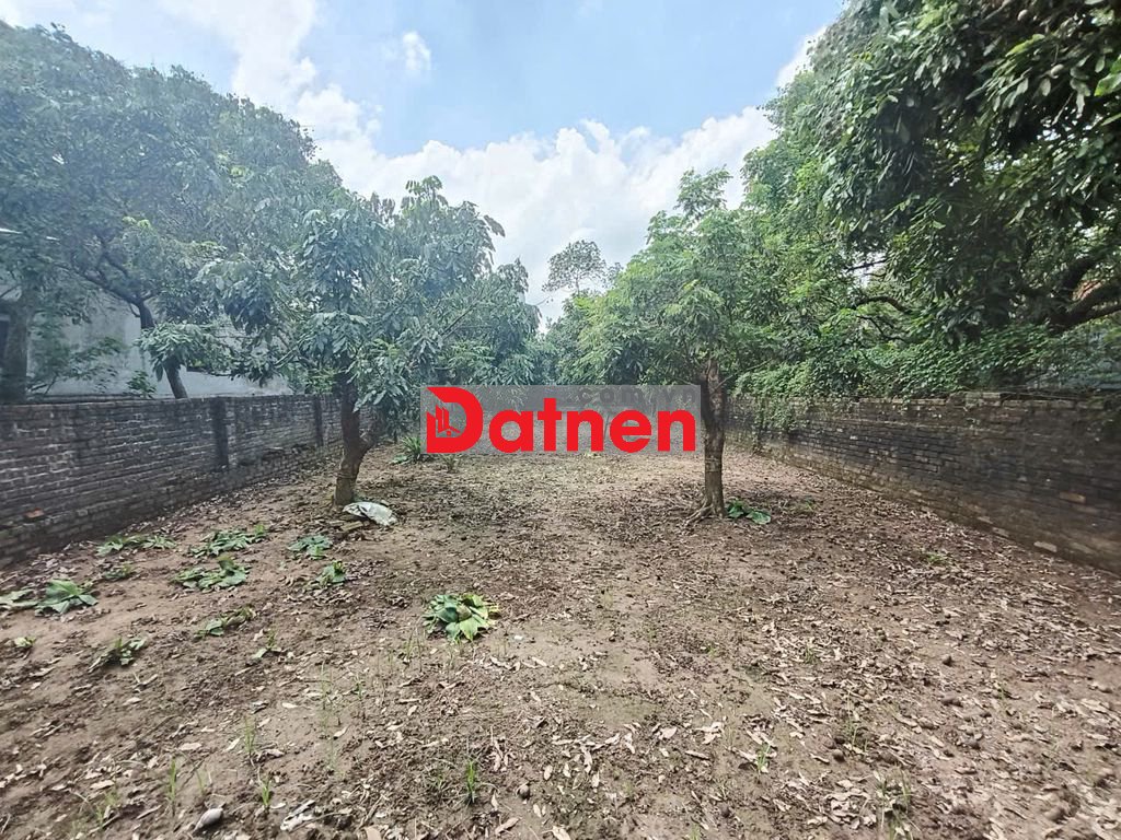 Đất Bình Minh, Khoái Châu, DT281m2, MT8.8m ôtô KD, 13.5 tỷ Hưng Yên