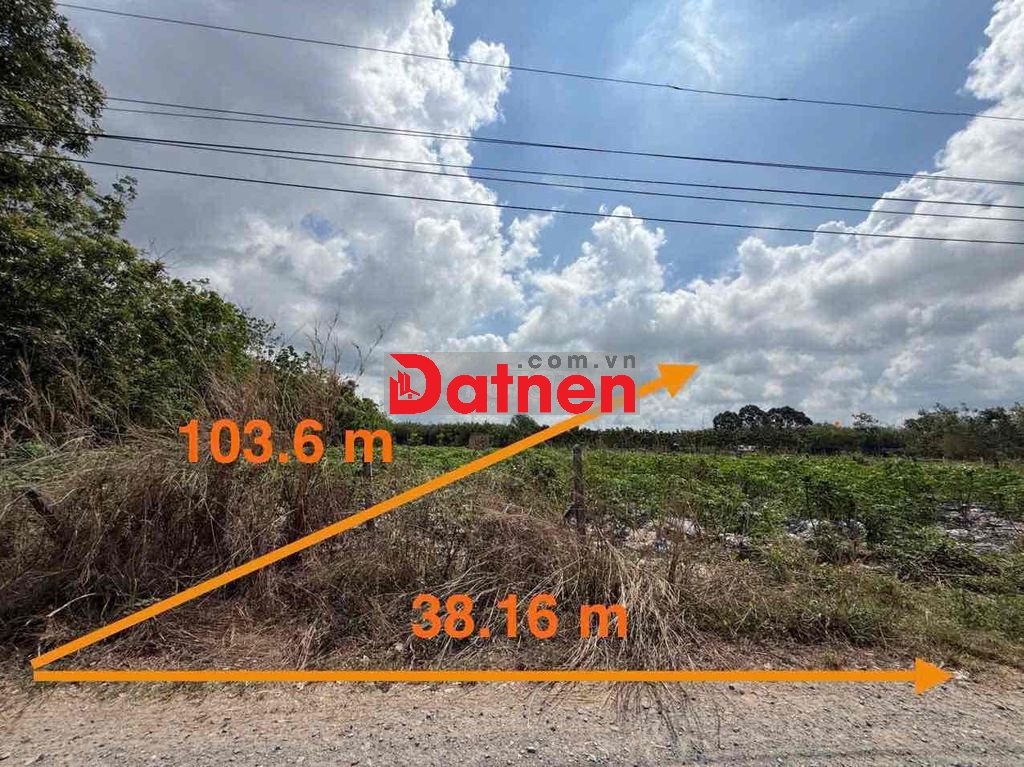 4224m2 đất Full thổ cư tại Thạnh Đức, Gò Dầu, Tây Ninh