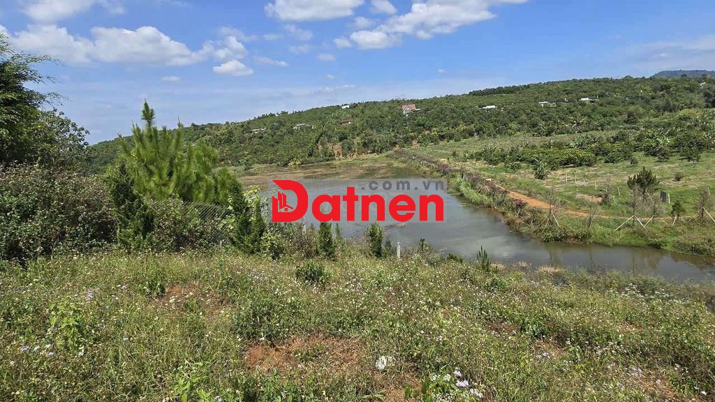 Bán đất nghỉ dưỡng mặt tiền đường view hồ