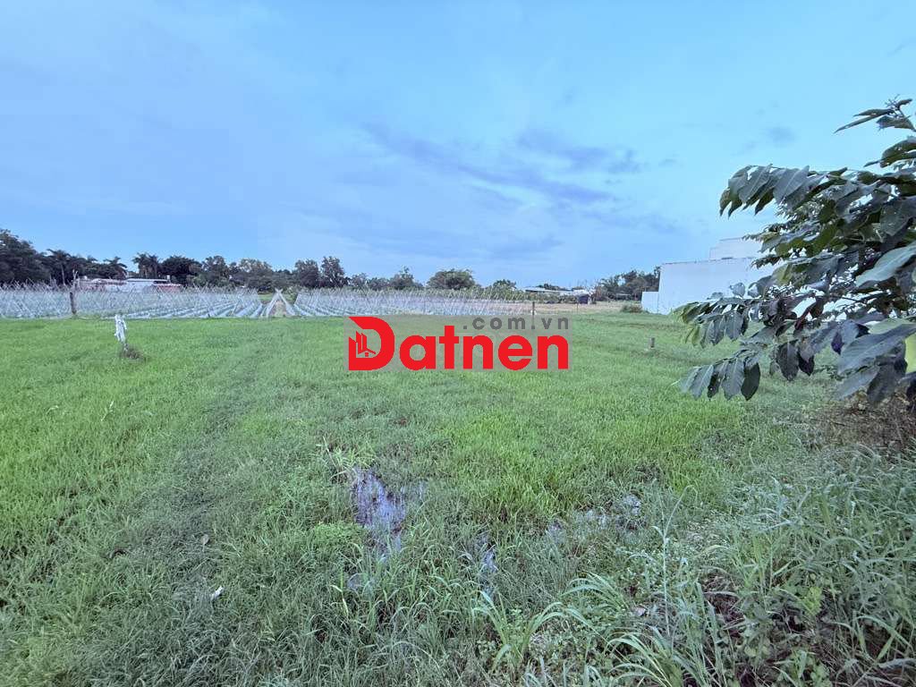 BÁN ĐẤT MT 16.5X30 LÊ MINH NHỰT–TÂN AN HỘI,CỦ CHI 🌳 CHỈ 11 TRIỆU/M2