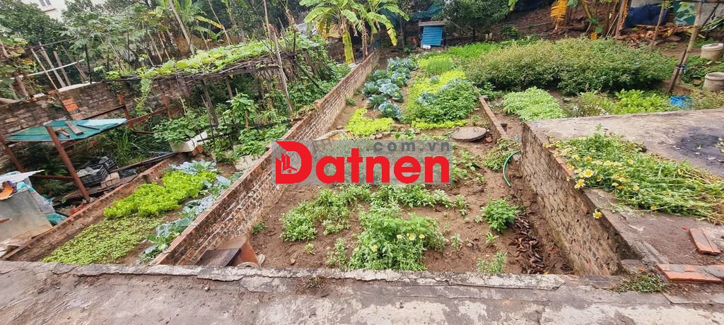 🎯 Bán 44m2 Dục Nội,Rẻ Nhất Việt Hùng,Bao quanh 2 chợ,Gần đường Cao Lỗ