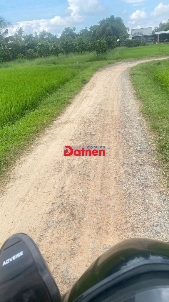 Cần bán đất thổ cư 600m², 20x30m, 3 sổ riêng biệt