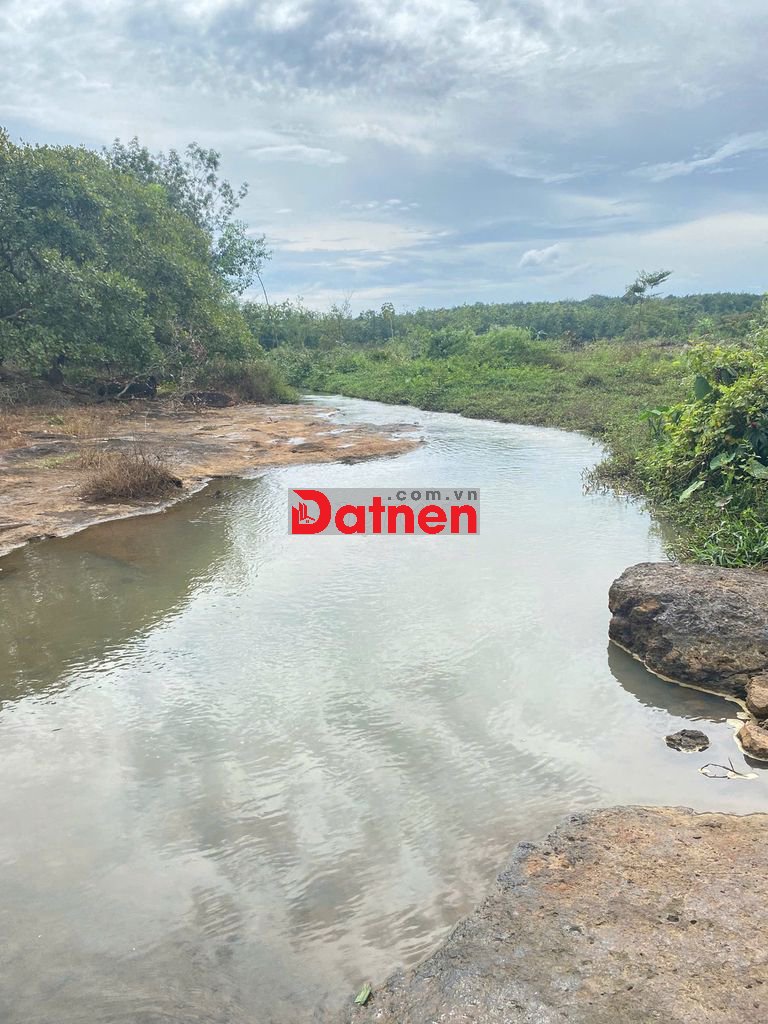 bán đất nông trại resrost nghỉ dưỡng