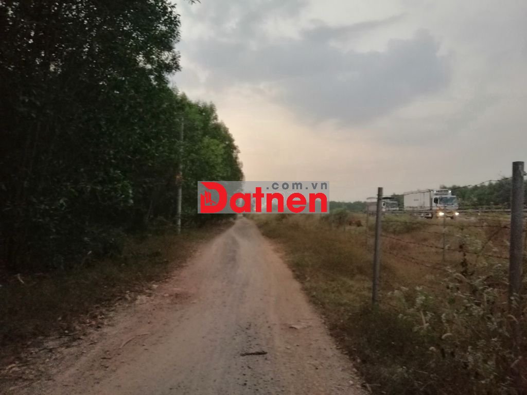 Bán 4,7 sào đất sát cao tốc Long Thành - Dầu Dây kv sân bay