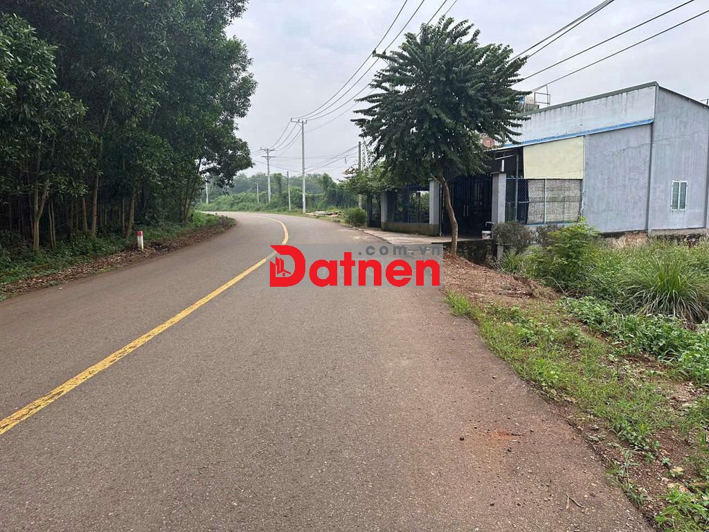 Đất 2mt đg tđ7 hắc dịch phú mỹ, tặng nhà cấp 4 ,dt:7.6x22 giá 1.65ty