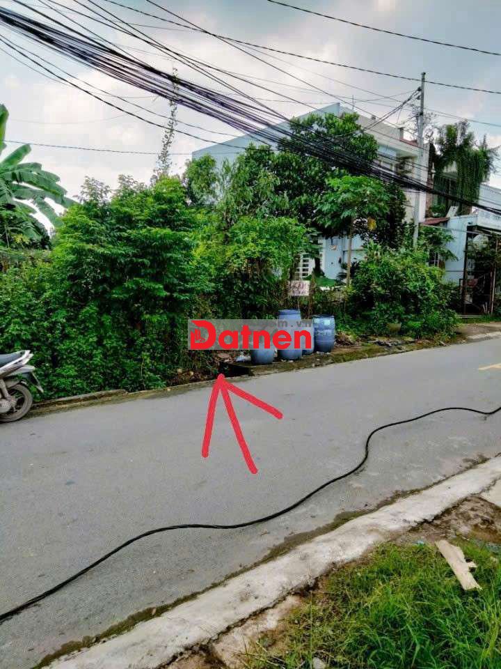 Bán lô đất mặt tiền đường tân phước dĩ An DT 600m2