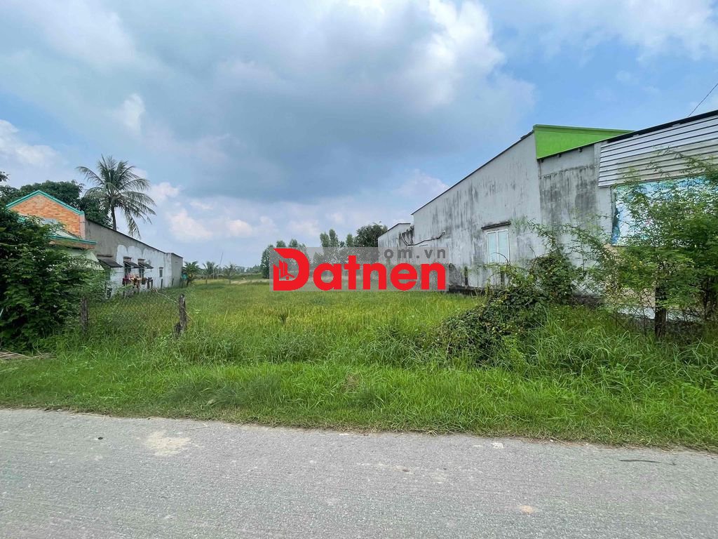 500m2 ĐẤT THỔ CƯ ĐƯỜNG CÂY TRÔM MỸ KHÁNH GIÁ CHỈ 5tr/m2