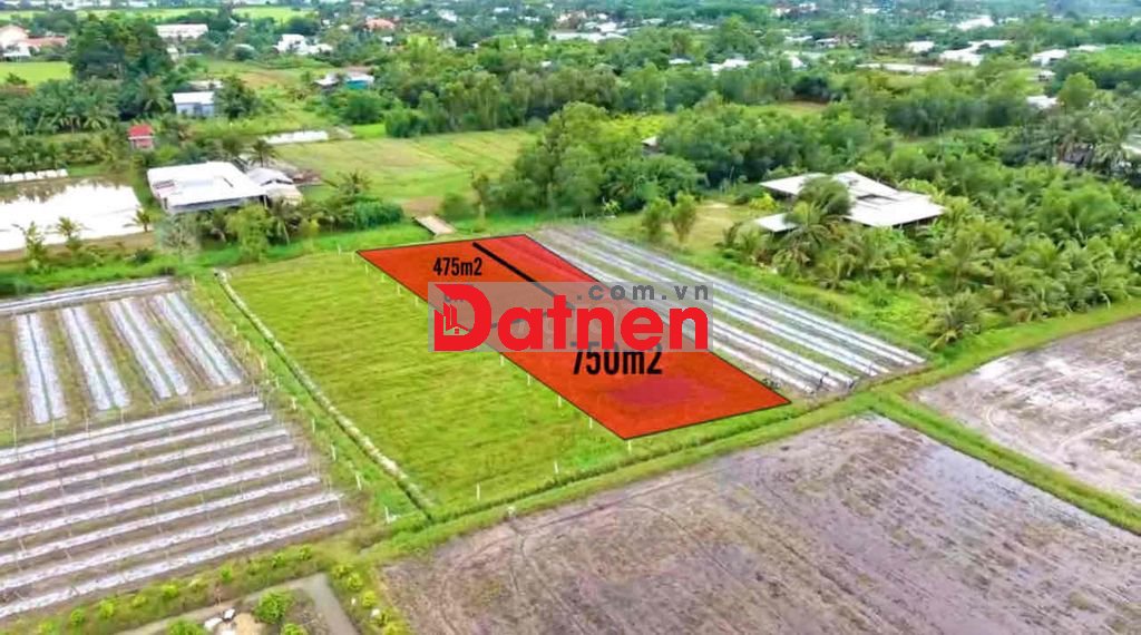 Đất thổ cư làm nhà vườn 1225m2 (20x60) trả 400tr sang tên sổ