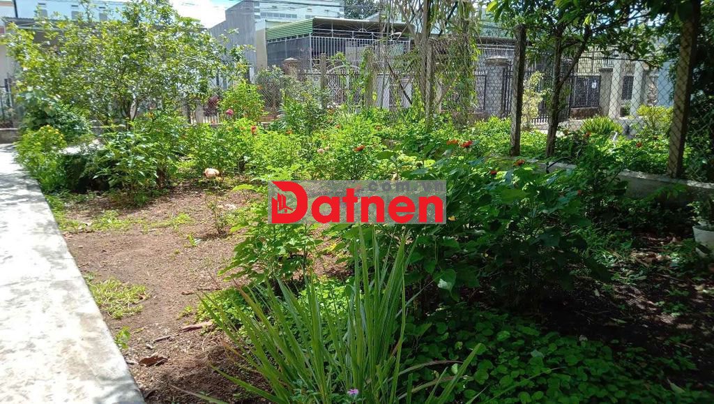 Đất đẹp cần bán