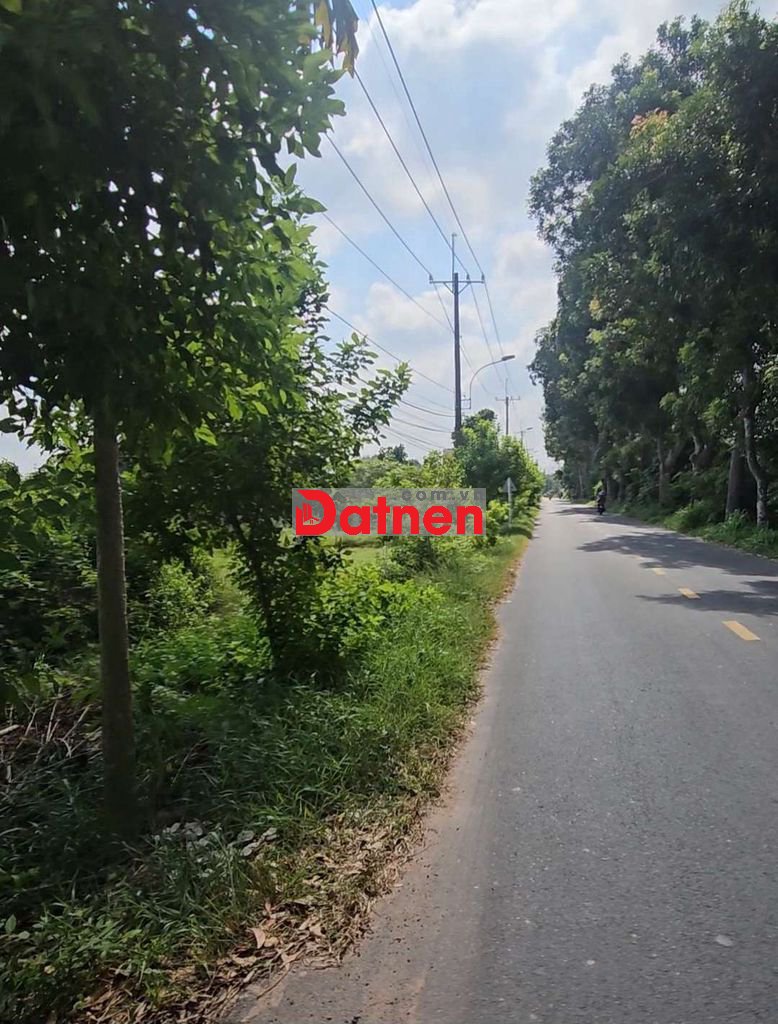 Dat mat tien duong bui thi diet