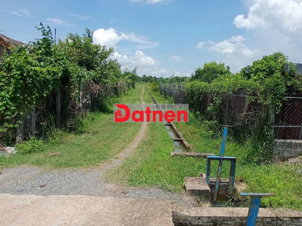 ĐẤT VƯỜN GIÁ TỐT KHU VỰC GÒ DẦU TÂY NINH, 1000M2 GIÁ 1 TỶ