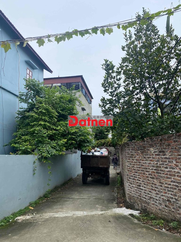 toi cần bán đát