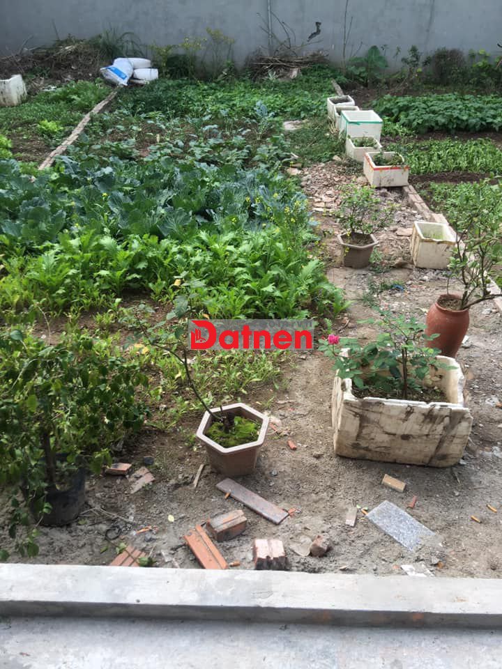 HÀNG MỀM, 30M2 ĐẤT PHÚC LỢI, LONG BIÊN, GIÁ CỰC TỐT