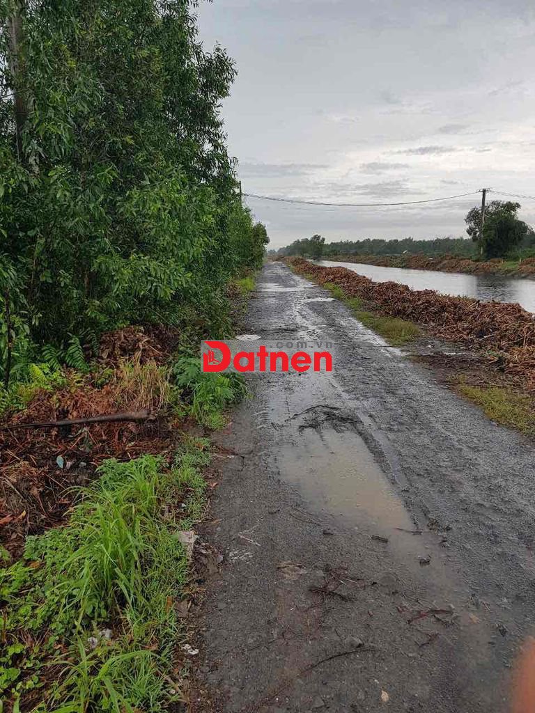 CẦN BÁN ĐẤT BÌNH CHÁNH