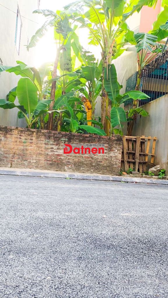 Bán đất Tằng My Nam Hồng vị trí vàng trung tâm sát mặt phố 65m