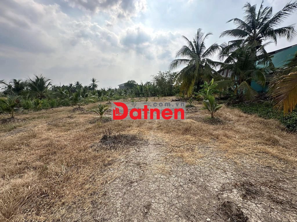 BÁN GẤP 1.089M² ĐẤT VƯỜN – CÁCH QL1A CHỈ 100M- GIÁ TỐT ĐẦU TƯ