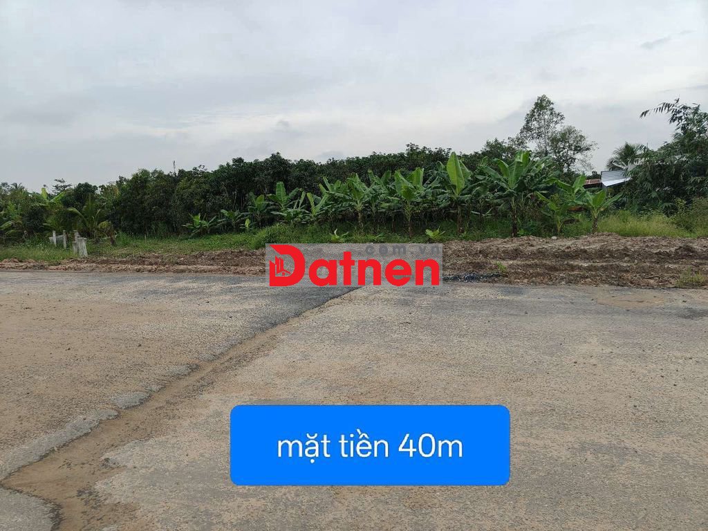 BÁN 2000M2 ĐẤT LÚA KHU TIỀM NĂNG MỚI