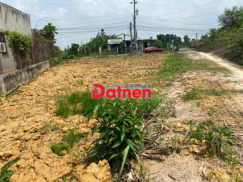 FULL THỔ CƯ 253m2 MẶT TIỀN ĐƯỜNG NHỰA BÀU CÔNG