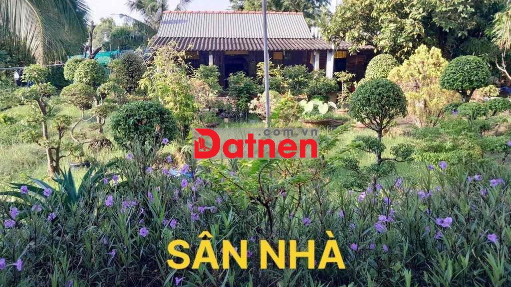 🚨🚨 Bán 31 công đất vuông thuộc Kinh Ranh, ấp Hải An, Đầm Dơi, Cà Mau.