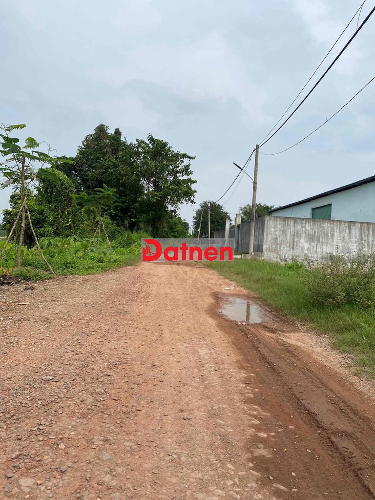 1807m2 đất trồng cây Thạnh Xuân 52 vào đường 6m