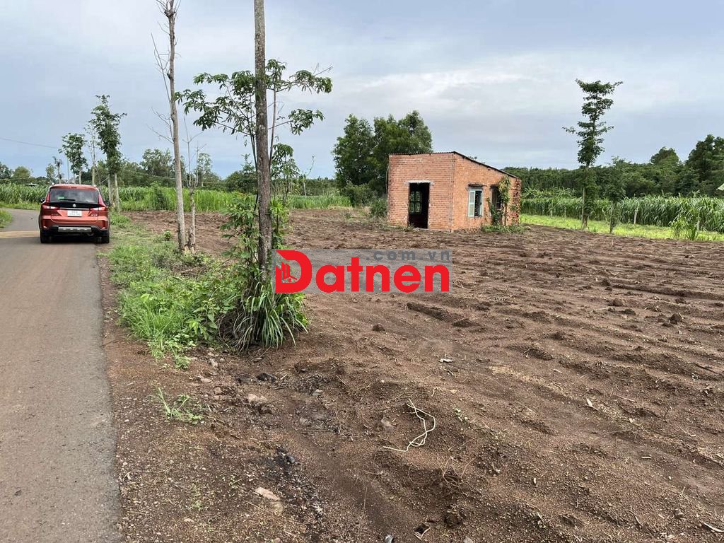 Bán đất mặt tiền đường