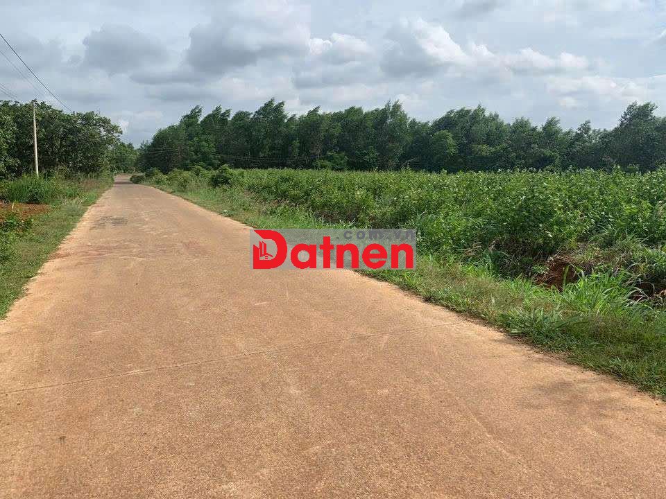 Vị trí đắc địa:
Cách Sân bay Quốc tế Long Thành