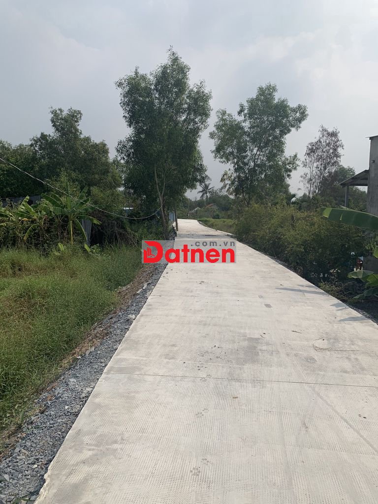 Cần bán đất Bình Chánh - Gần bệnh viện - Thị trấn Tân Túc