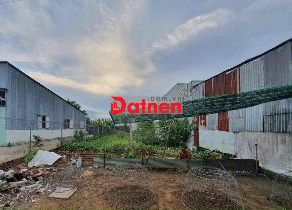 tui chủ đất bán gấp giá 1ty500 (239m2)