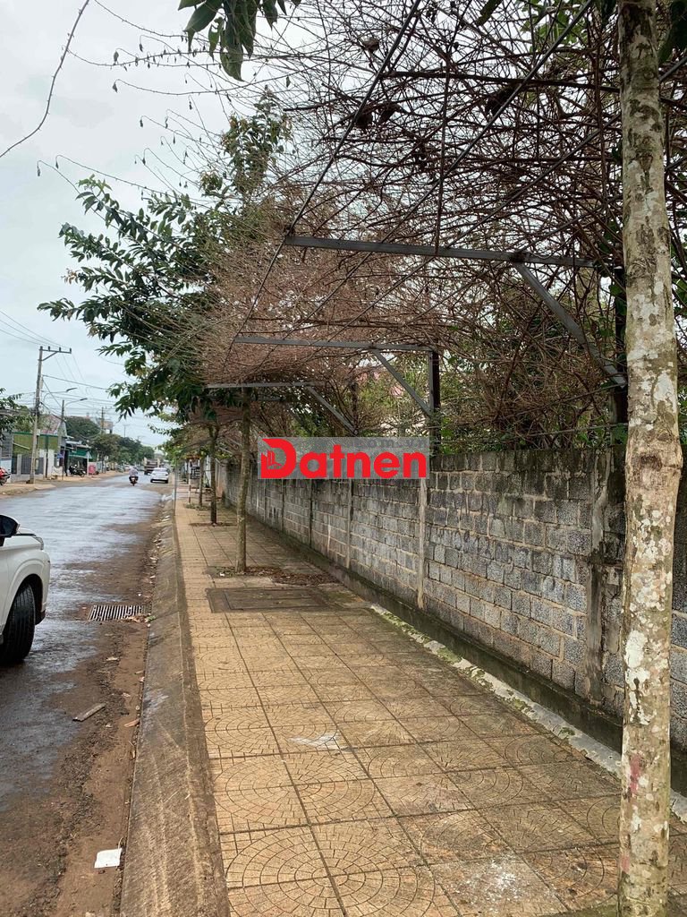 MẶT TIỀN ĐƯỜNG TÔN ĐỨC THẮNG