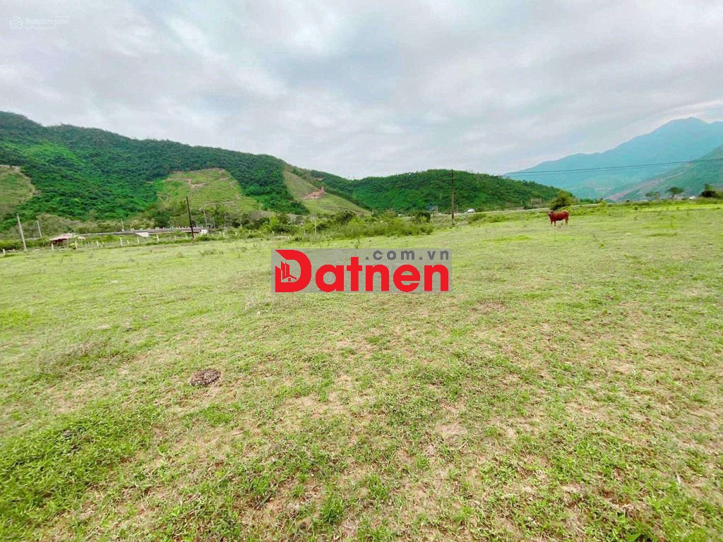 Bán lô đất 4000m2, view sông, Thôn Nam Yên & An Định, Hòa Bắc, 5.45 tỷ