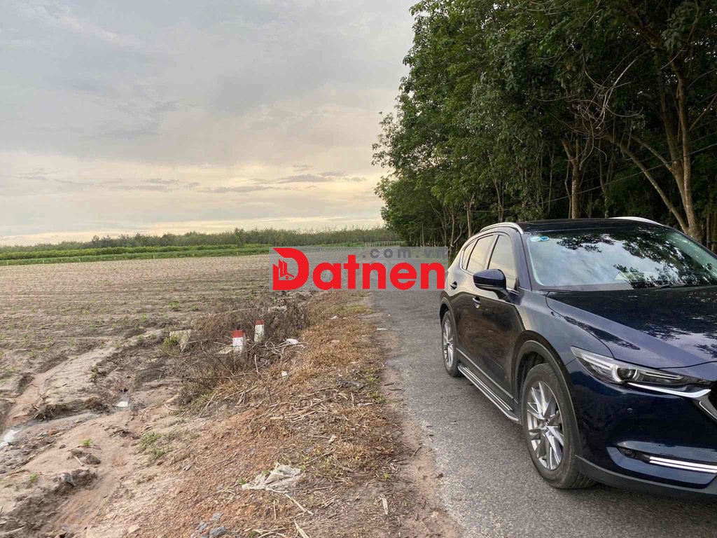 Gia đình cần bán miếng đất 23,000m2