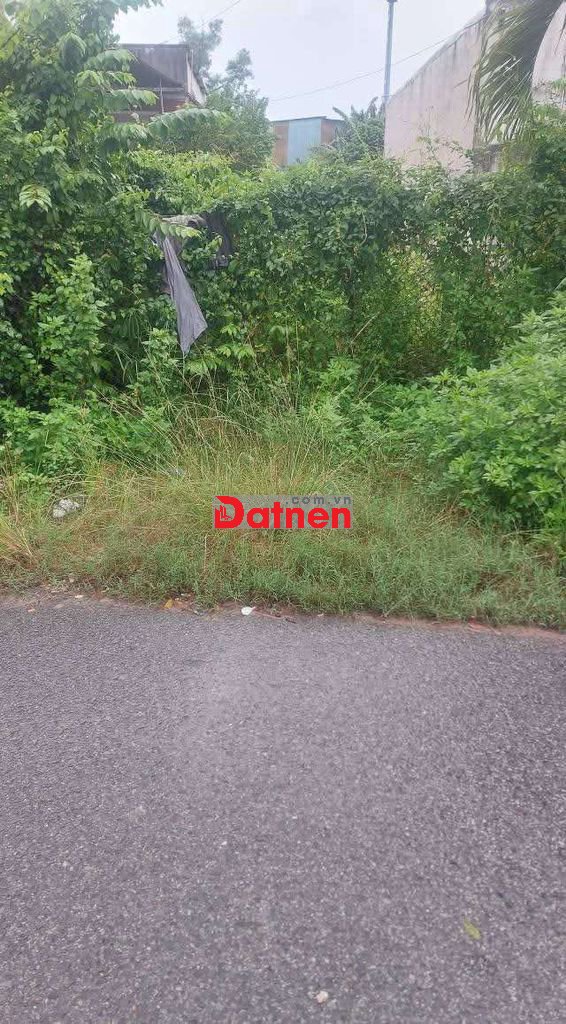 Đất Tân Định khu 1 ngay chợ Hoàng Gia nhựa 6m thông.5x50 thổ cư 63m.