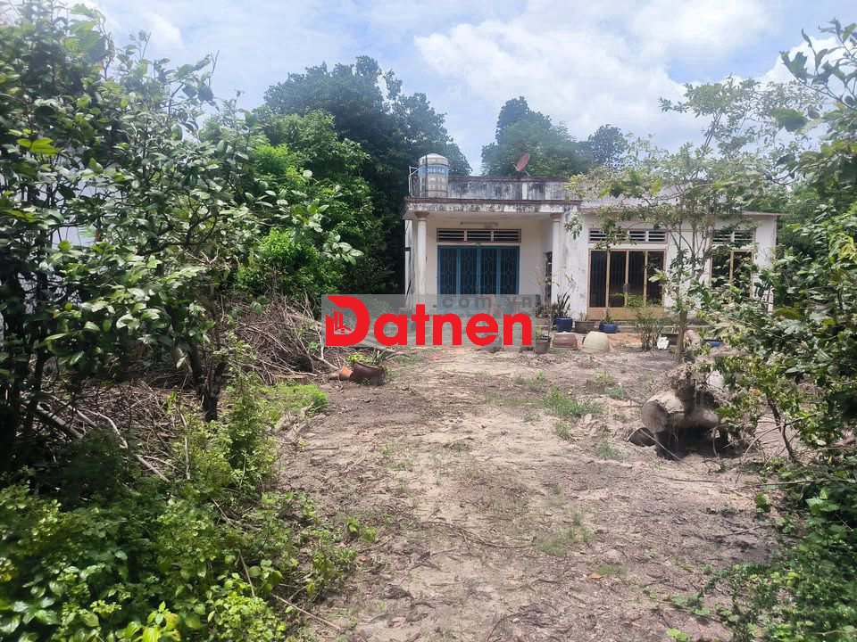 BÁN ĐẤT ĐẸP – MẶT TIỀN ĐƯỜNG SÔNG LU 2, BÌNH MỸ (HOÀ PHÚ) CỦ CHI