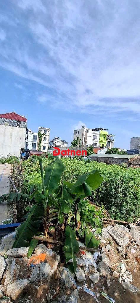 Bán Đất Hải Bối Đông Anh 71m2 5.39 tỉ