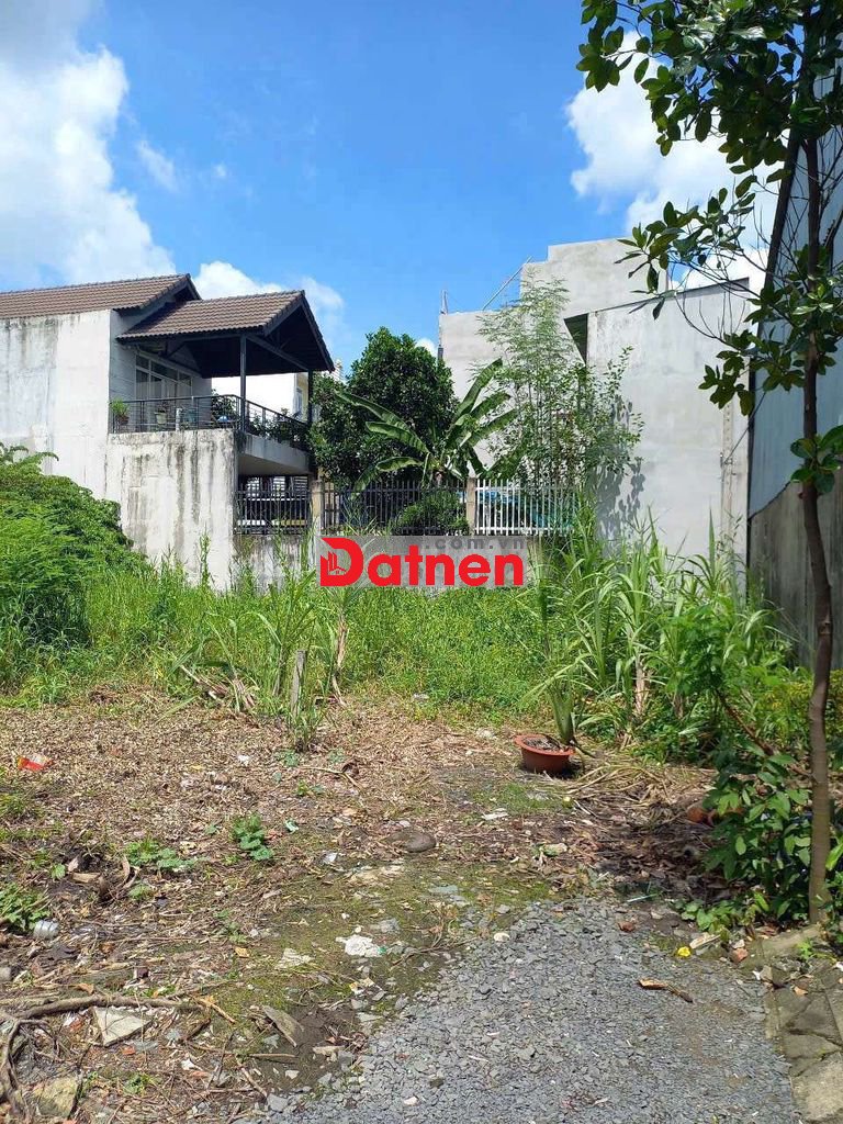 Bán lô đất nông nghiệp sổ riêng đường TX33 Q12 giá 1,85 tỷ