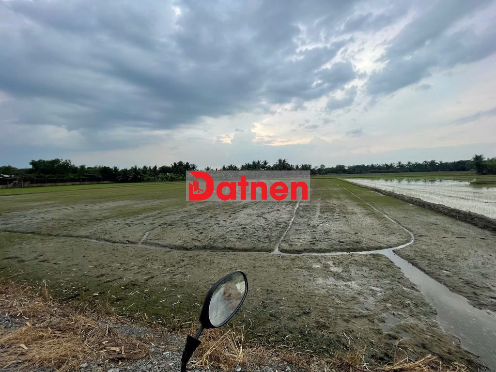 Đất Nông Nghiệp - 4907m2 - Mặt tiền đường Ba Thước - Tân Nhựt