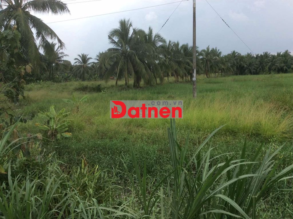 Đất nhà, vị trí mặt tiền rất đẹp, tiềm năng, K.doanh tiện lợi, giá rẻ.