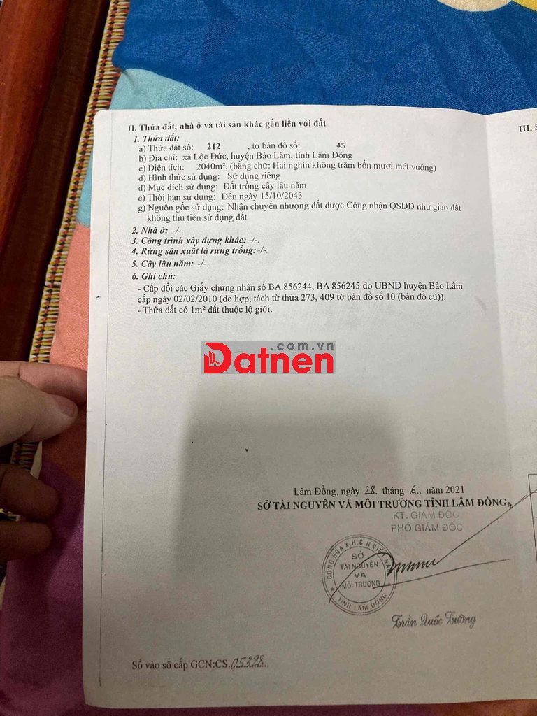 Vườn cà phê có thổ cư