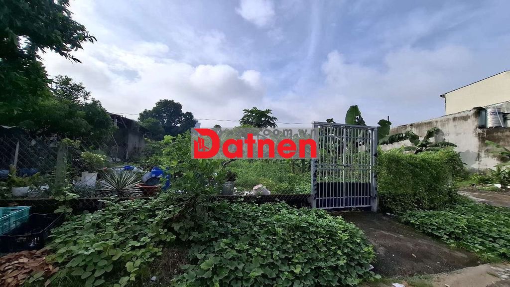 6x38 thổ cư 100% sau ủy ban xã đồn thạnh vị trí trung tâm 4T500