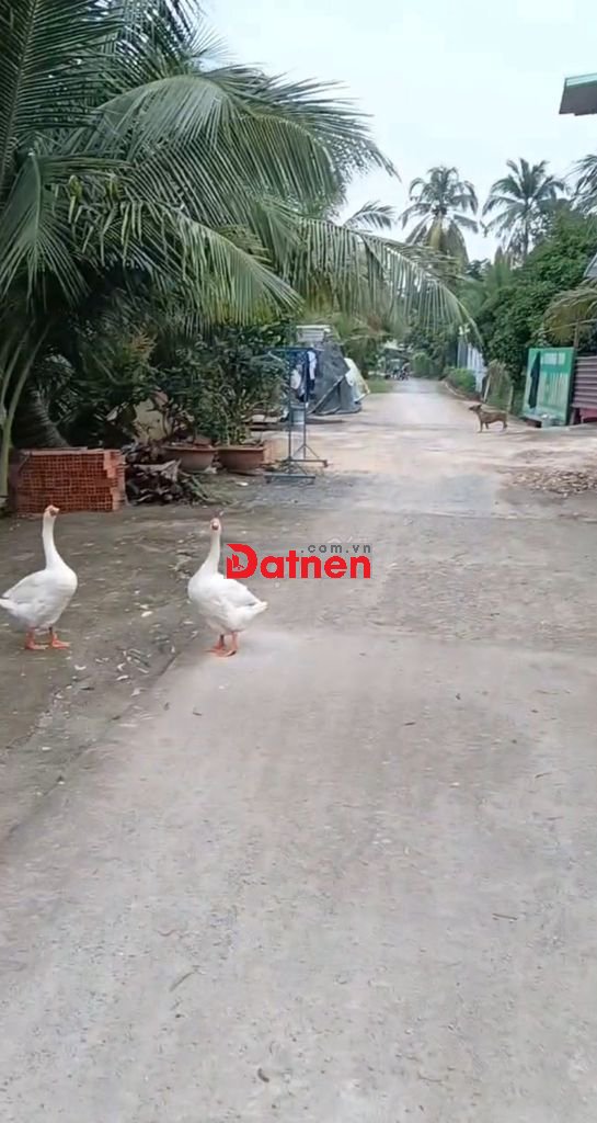 Bán lô đất gần chợ An Sơn Thuận An Bình Dương