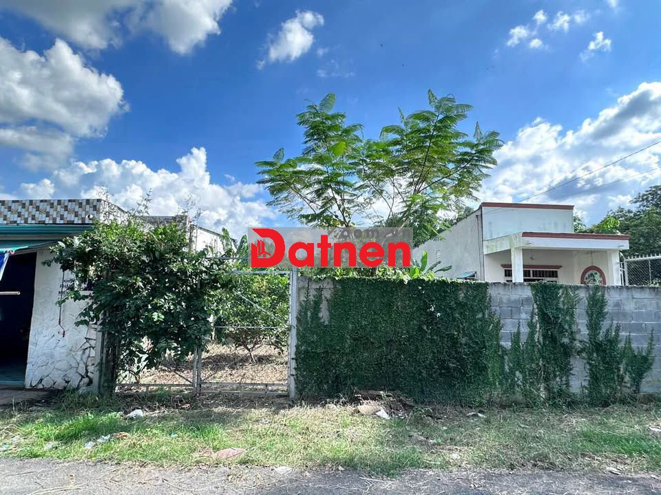 ✅ ✅ ✅ ✅CHÍNH CHỦ 241.5m2 THỔ MẶT TIỀN THÍCH HỢP LÀM TRỌ XƯỞNG GIỮ TIỀN