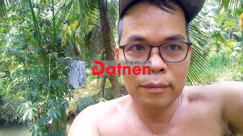 Cần bán đất vườn dừa, Châu Bình, Giồng Trôm