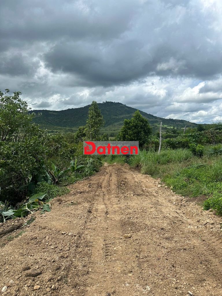 Đất 85m mặt đường cách QL14 500m Thôn 5 xã Ea H'Leo