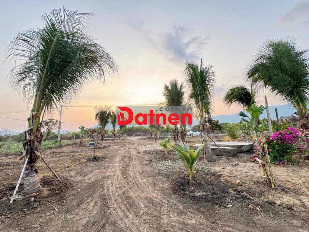 ĐẤT NINH TÂY QH FULL THỔ, CÓ SẴN SUỐI NƯỚC NÓNG GIÁ 950k/m