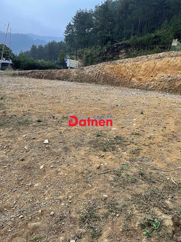 Gia đình cần chuyển nhượng 800m2 đất tại xã Tú Lệ, cách Le Charm 300.