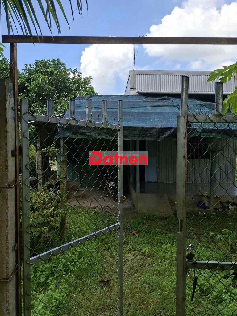 Bán Đất ruộng đã lên vườn ở Mương Hội Đồng Thu, Phường Mỹ Hoà cũ, AG