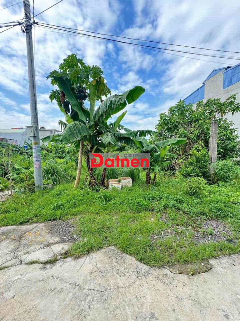 Đất 100m2 ngang 5m MT trục thôn Bạch Mai, Đồng Thái 3,25 tỷ