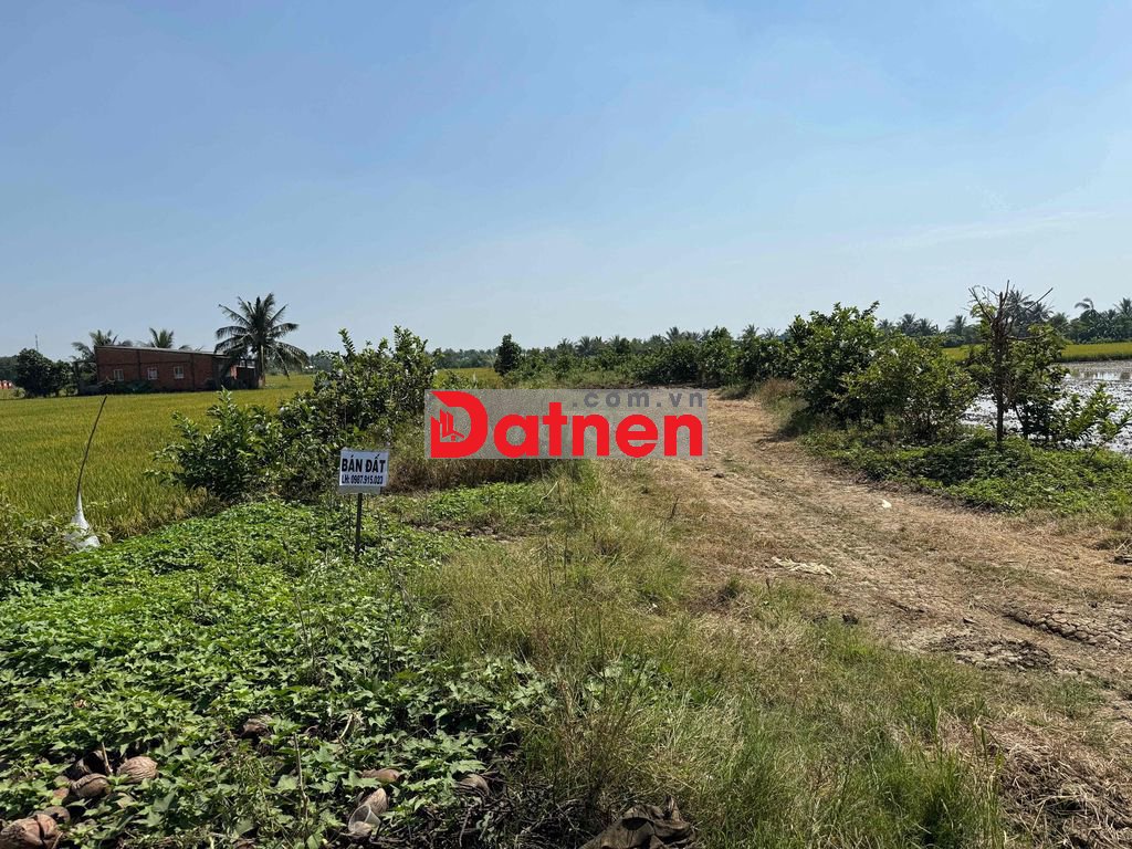 (CHÍNH CHỦ) CẦN BÁN ĐẤT NỂN HƠN 1000m2 ĐÃ CÓ SỔ